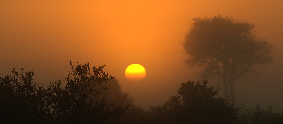 _DSC0412_edited.jpg