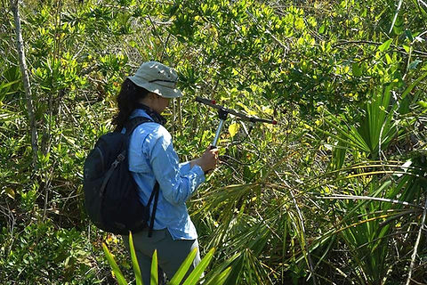 Monica Lasky conducting python telemetry fieldwork